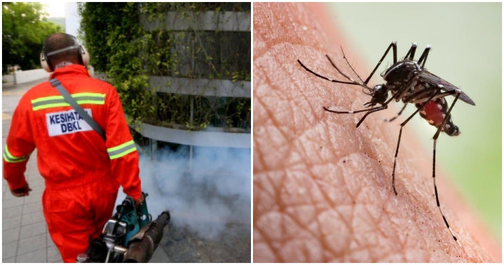 It's Only April But There Are Already 34,755 Cases Of Dengue Fever Reported Nationwide - World Of Buzz 1