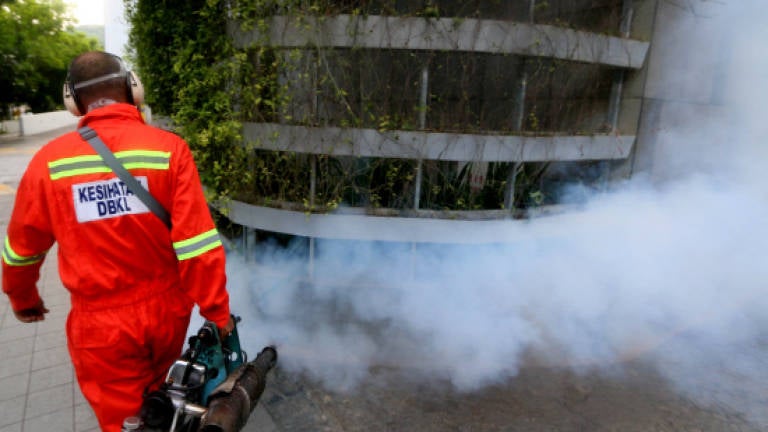 It's Only April But There Are Already 34,755 Cases of Dengue Fever Reported Nationwide - WORLD OF BUZZ