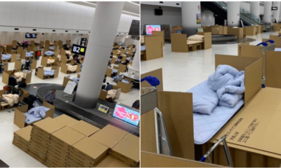 Japanese Man Arrives Home Overseas, Shares Pictures Of Temporary Quarantine Cardboard Bed - World Of Buzz 2