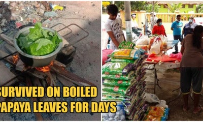 Unpaid Foreign Workers In M'Sia Cook Raw Papaya Leaves To Stave Off Starvation During Mco - World Of Buzz 3