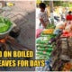 Unpaid Foreign Workers In M'Sia Cook Raw Papaya Leaves To Stave Off Starvation During Mco - World Of Buzz 3