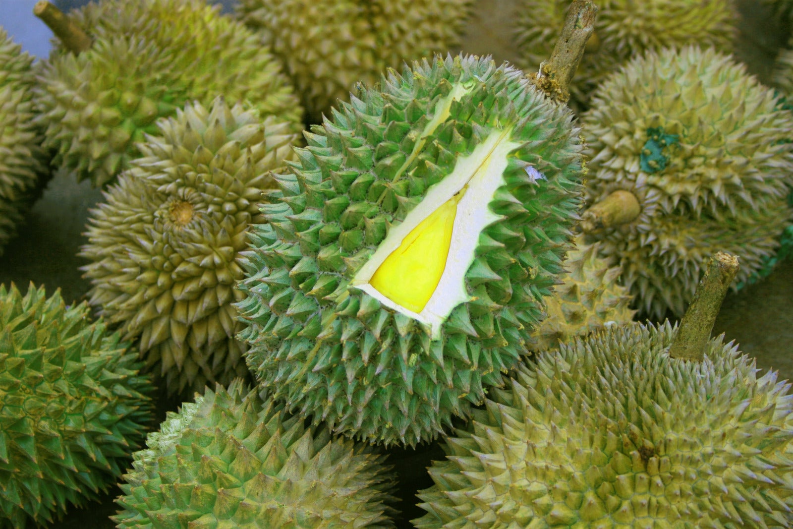 Durian Air Itam Penang