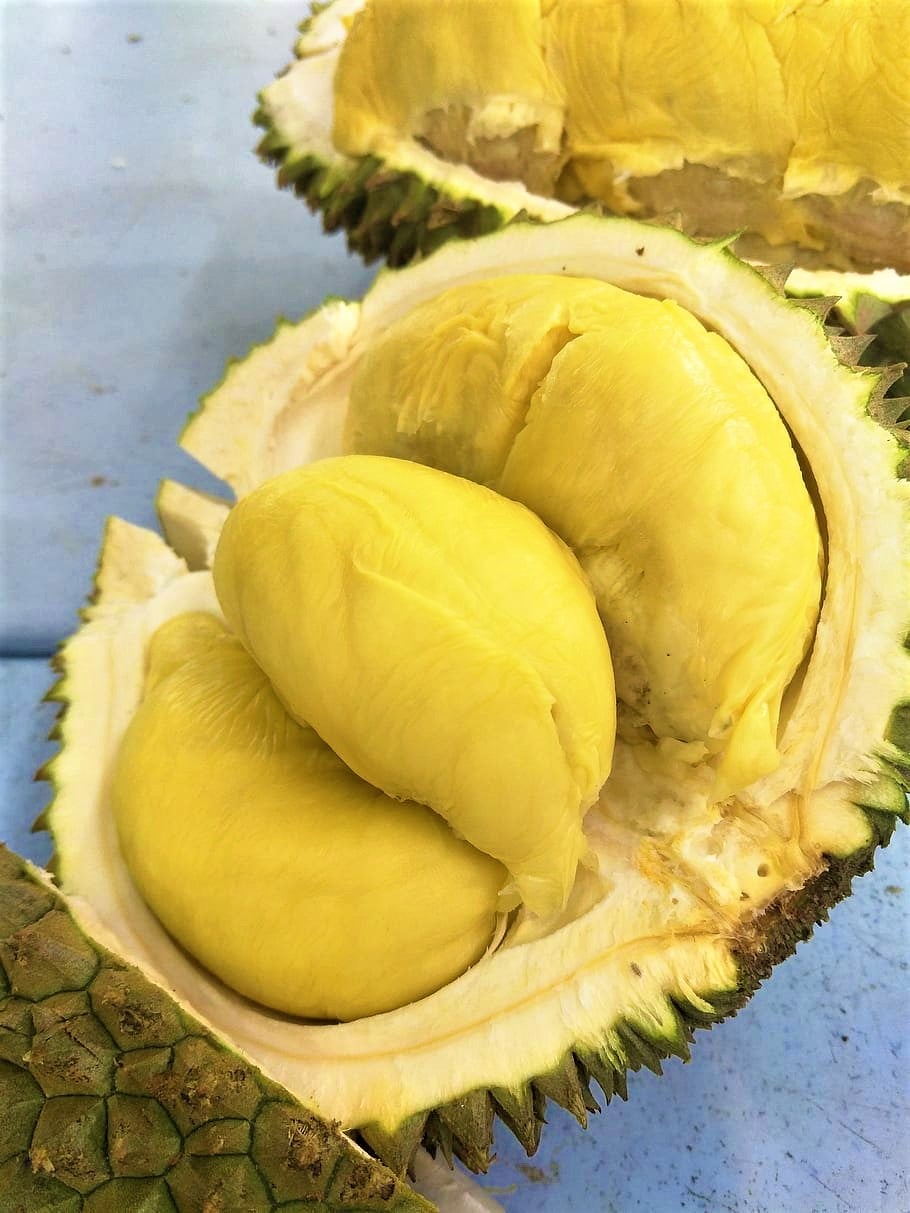 fruit durian tropical fruit