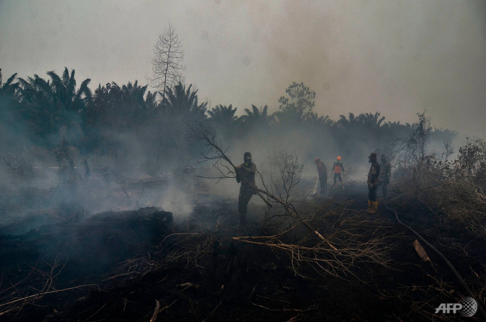 indonesia haze forest fires