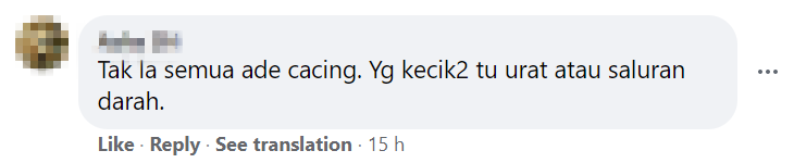 cacing comment 1