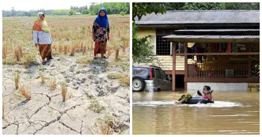 Terengganu Forecast