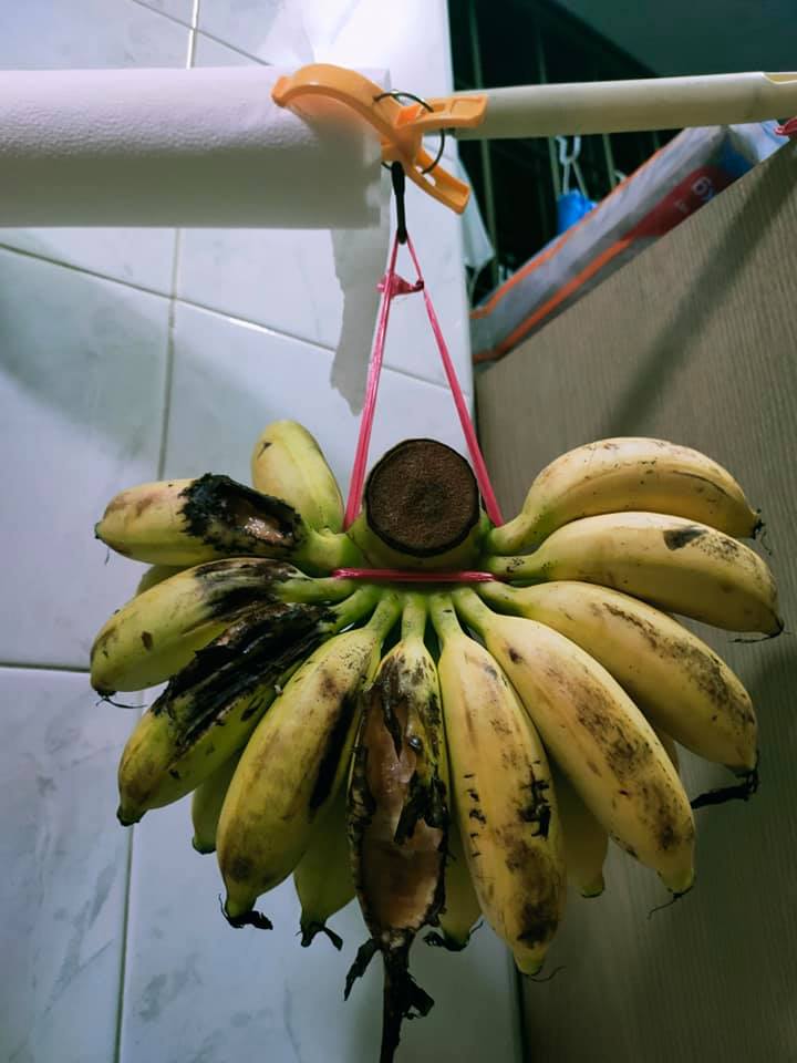 banana bat 1