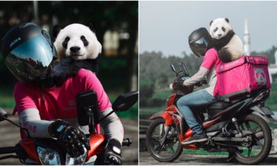 Panda Ft