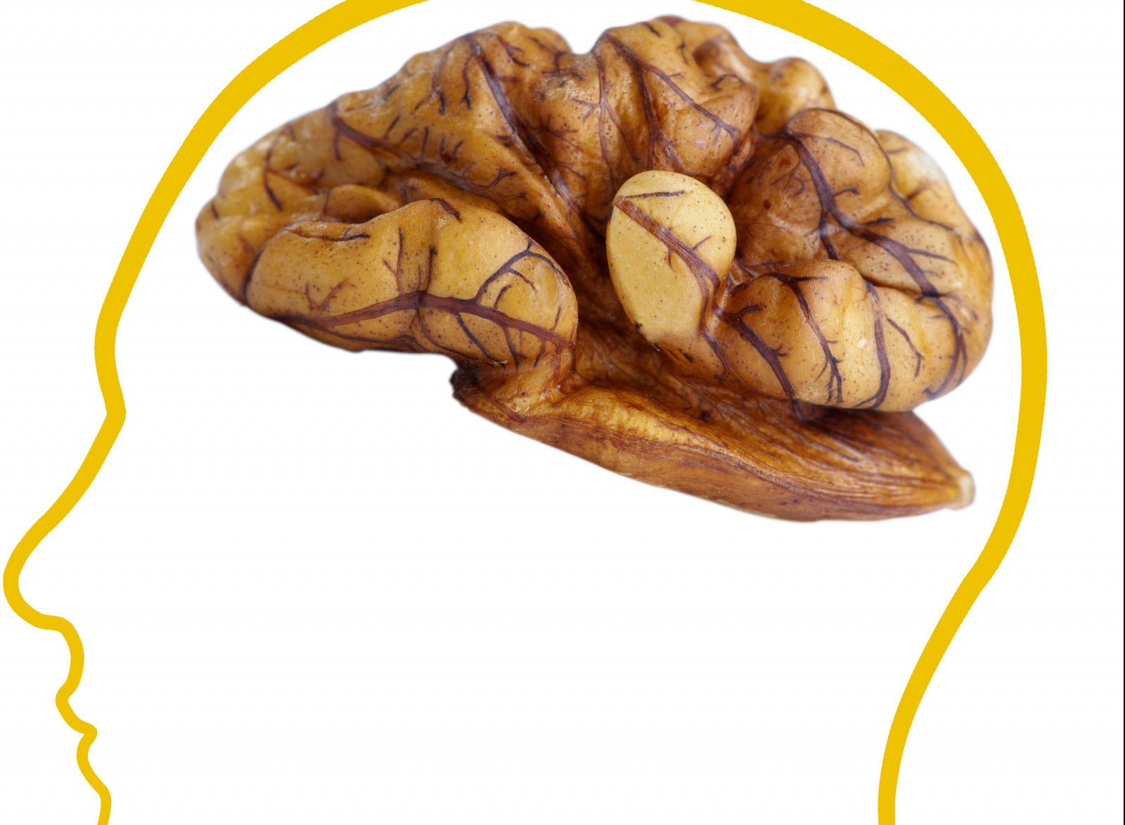 walnut brain e1562496872476