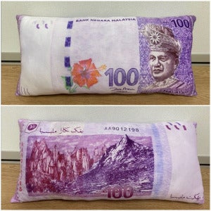 money pillow 2