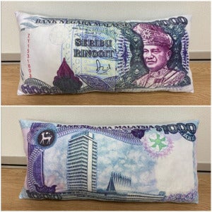 money pillow 3