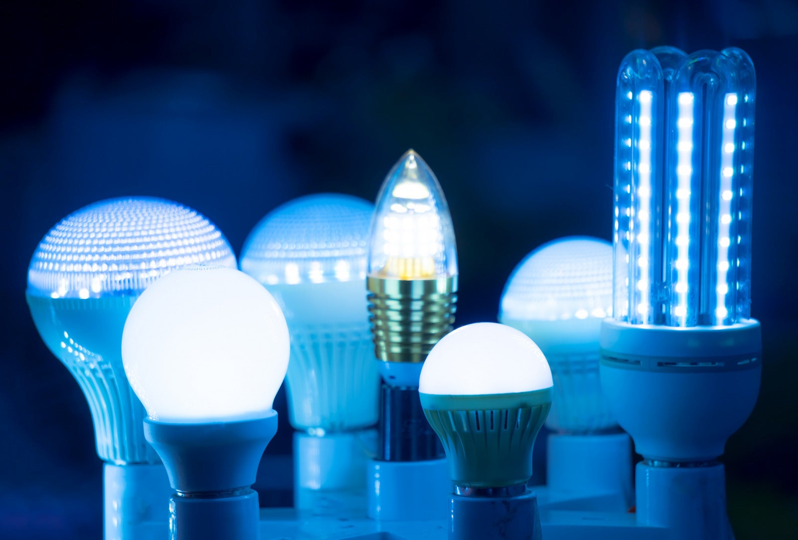 variety of LED bulbs