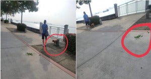 2021 04 23 14 00 43 Irresponsible Dog Owner Called Out For Leaving Her Dogs Droppings At Penang Par