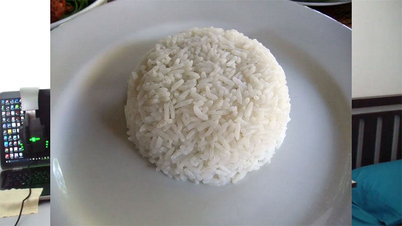 molded rice