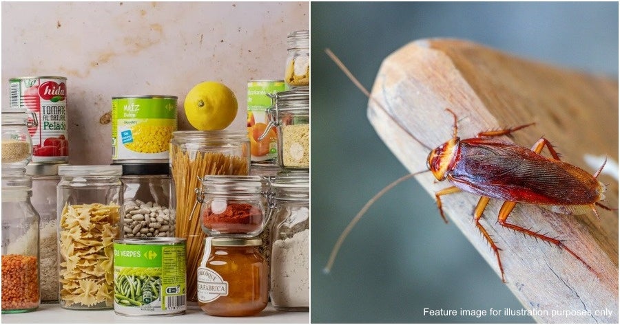 Say Goodbye To Cockroaches With These 7 Ingredients You Can Find In ...