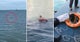 Man-Swimming-In-The-Sea-Turns-Back