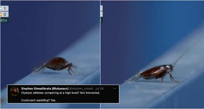 Cockroach At The Tokyo 2020 Olympic Games