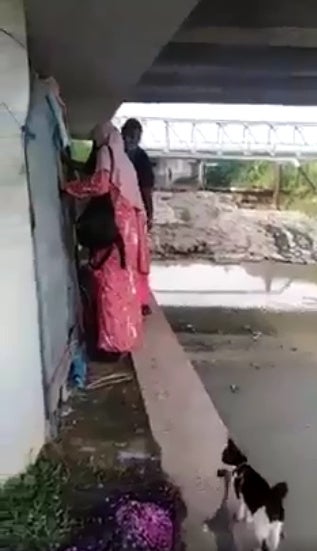 couple lives under bridge 3