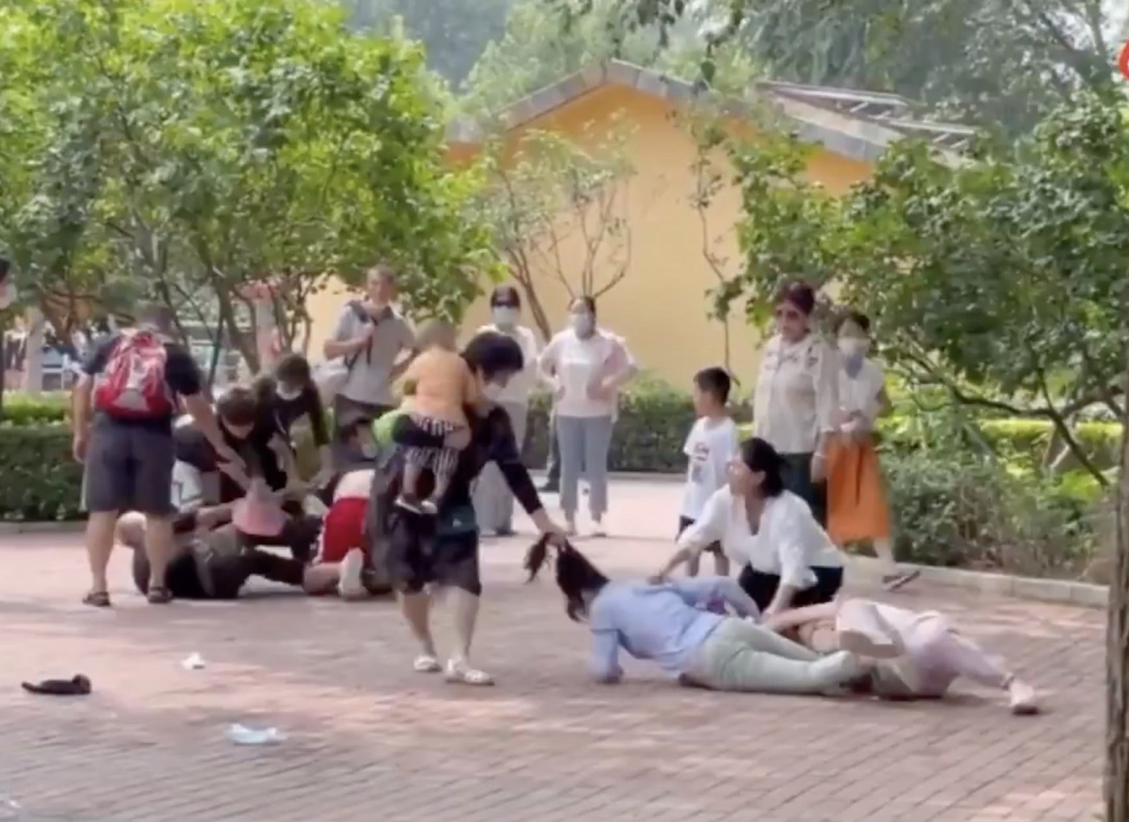 beijing zoo brawl 1