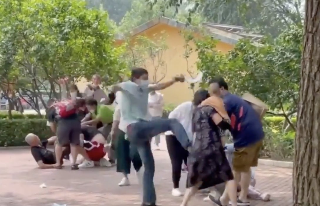 beijing zoo brawl 2