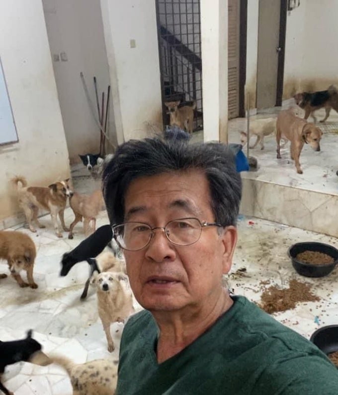 man with dogs