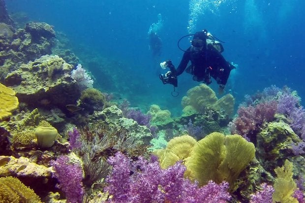 thai coral reefs