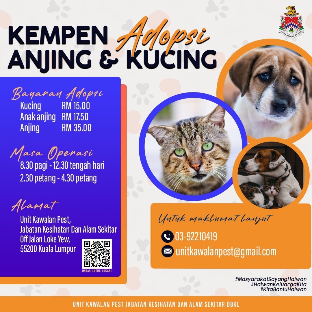 Dbkl Pet Adoption Poster