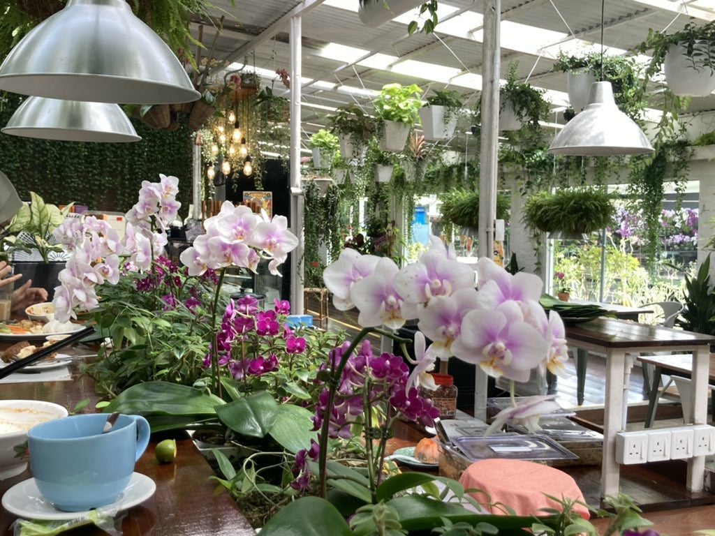 orchid farm cafe ulu yam selangor 3