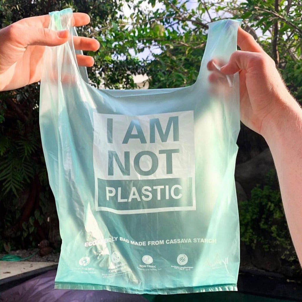 plastic bag 3