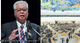 Malaysia-Wins-Un-Human-Rights-Council-Seat
