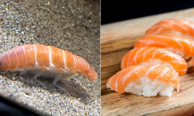 Parasite That Looks Like Sushi
