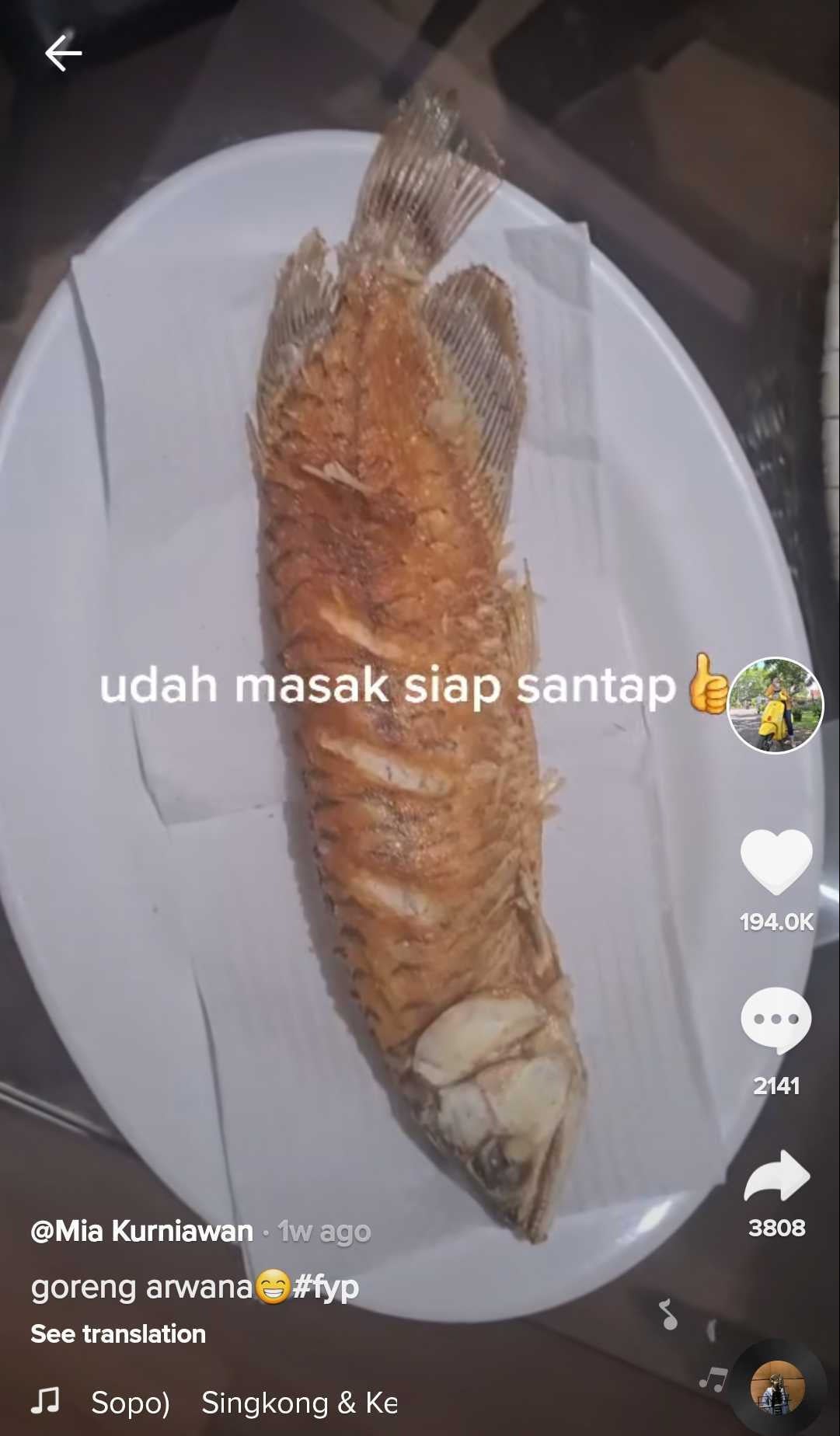 Cook Arowana Indonesia 1 E1634281158527