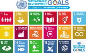 english SDG 17goals poster all languages with UN emblem 1