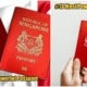 Passport Ft