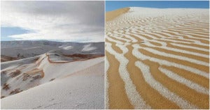 sahara desert snow