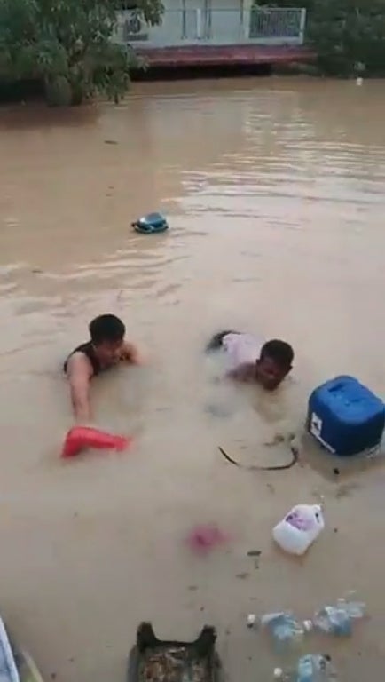 foreign neighbours swim to help 3