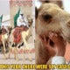 Ft Camel
