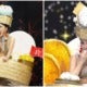 Miss Grand Hong Kong 2021 Eats Dim Sum On Stage
