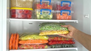 freezer storage container