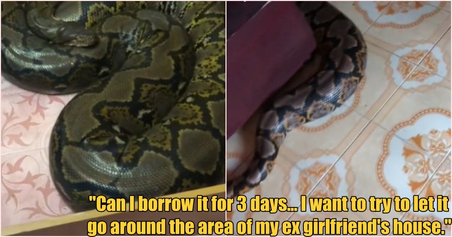 Ft Snake