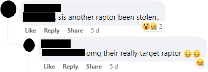 raptor stolen comment