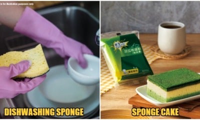 Sponge Cake Comparison