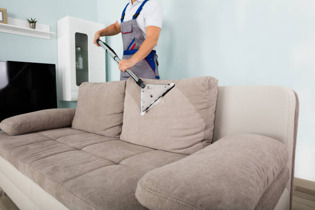Sofa Cleaning 404534 1