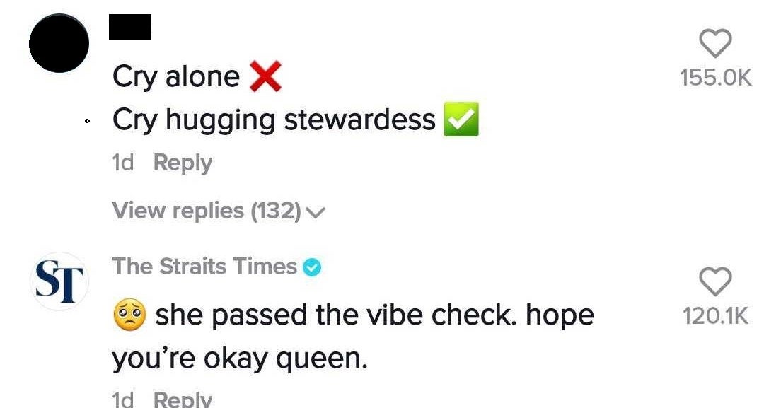 Hug Stewardess And Cry 2