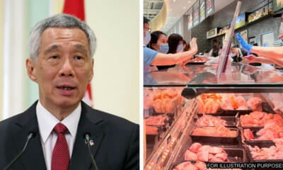 Feat Image Pm Lee Singapore Chicken Export Ban Msia