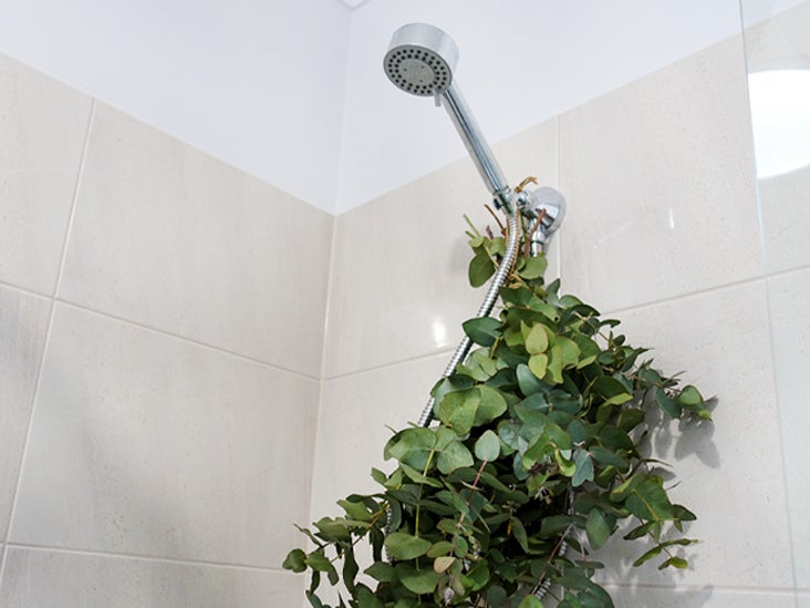Eucalyptus gunnii bouquet in the shower 732x549 thumbnail