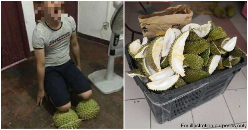 Durian Shells Shopee