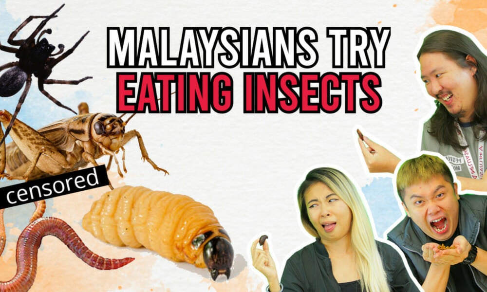 Malaysians Try Eating Insects - WORLD OF BUZZ