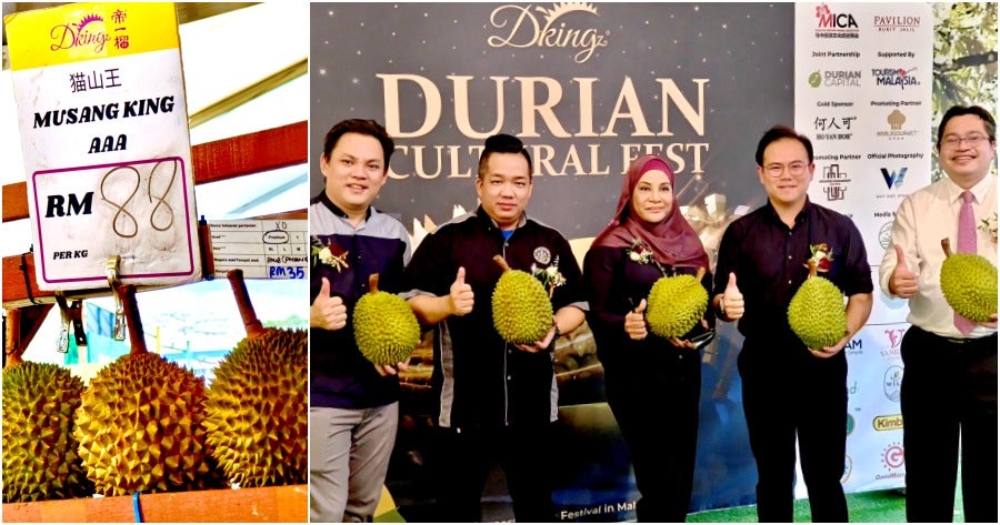Durian Collage Vips