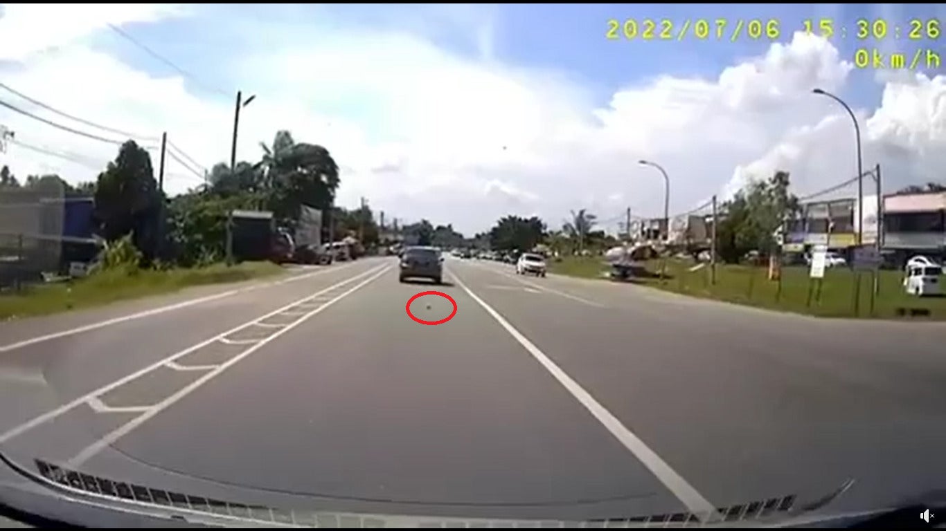 Cat Falls From Moving Car 1 E1657729239108